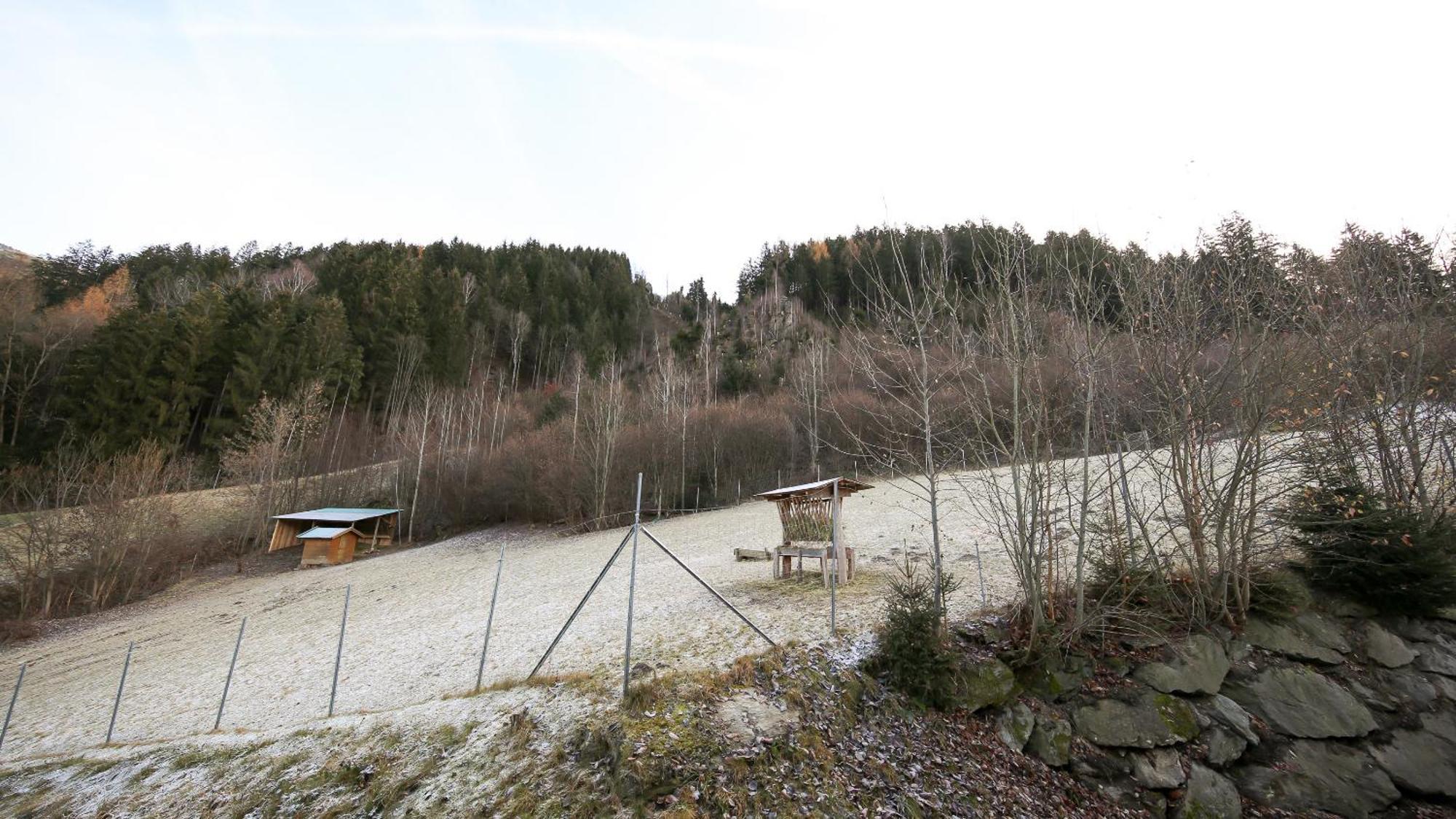 Hochfeldhof Daire Zell am Ziller Oda fotoğraf